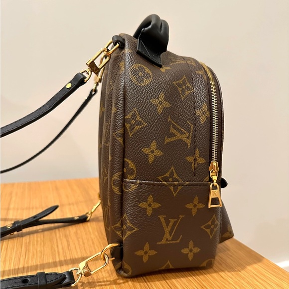 LV Palm Spring Mini Backpack | Excellent Condition - Picture 2 of 7